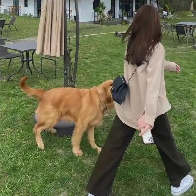 穿成反派权臣的恶毒妻